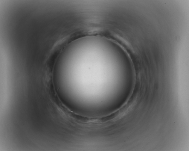 X0000113851447200910010951