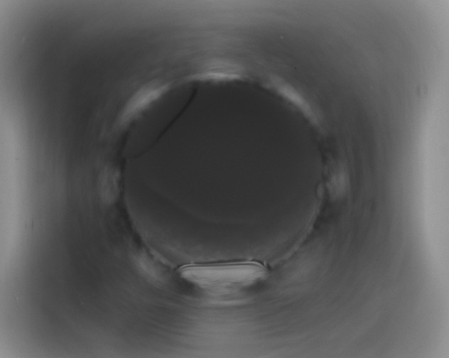 X0000113851448200910010951