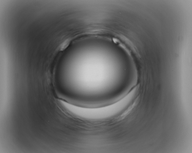 X0000113851449200910010951