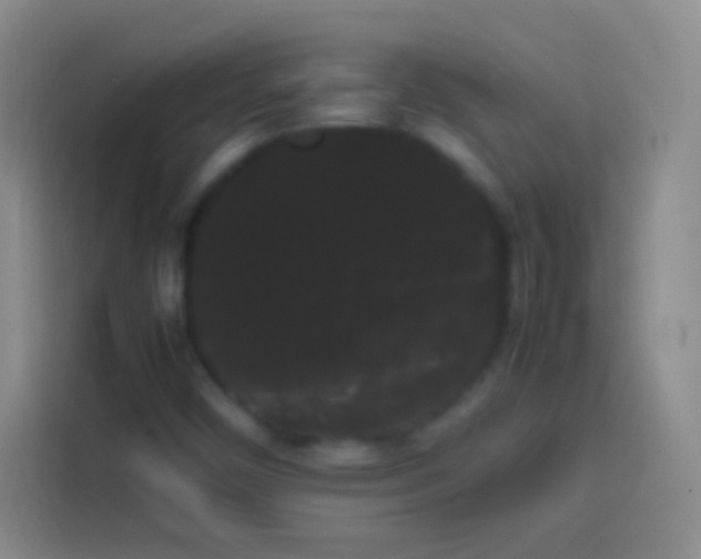 X0000113851450200910010951