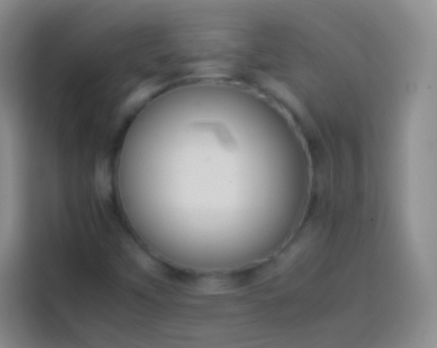 X0000113851451200910010951