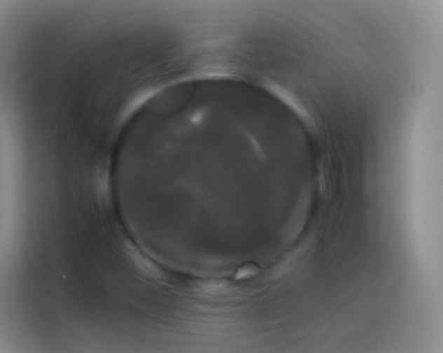 X0000113851452200910010951