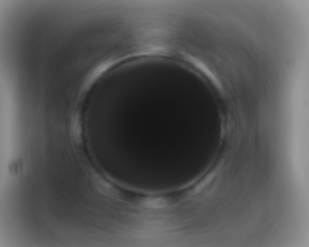 X0000113851455200910010951