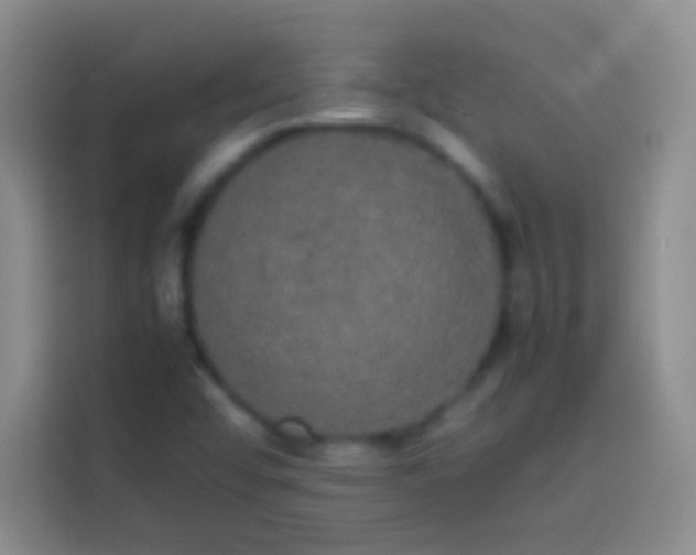 X0000113851456200910010951