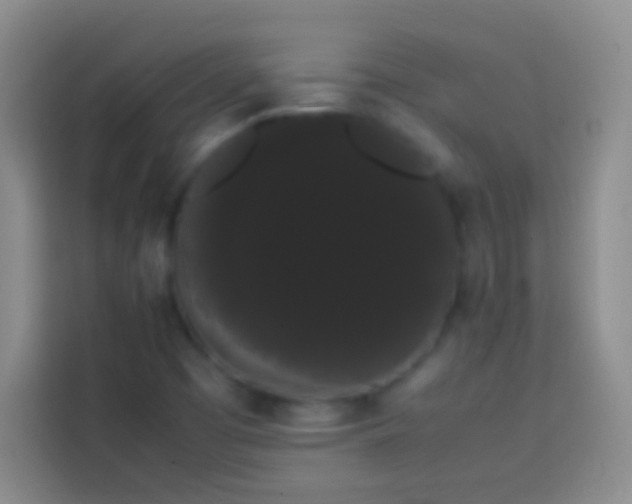 X0000113851457200910010951