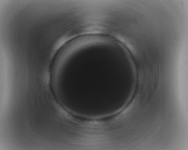 X0000113851459200910010951