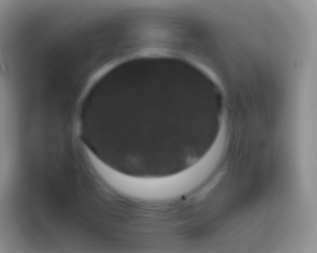 X0000113851461200910010951