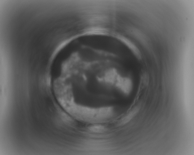 X0000113851462200910010951