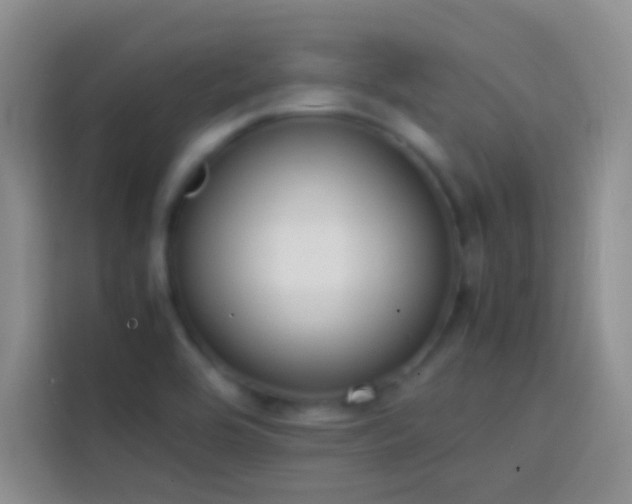 X0000113851464200910010951