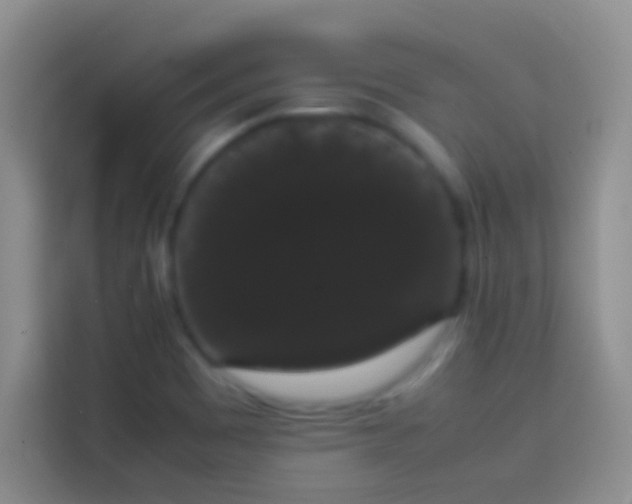 X0000113851465200910010951