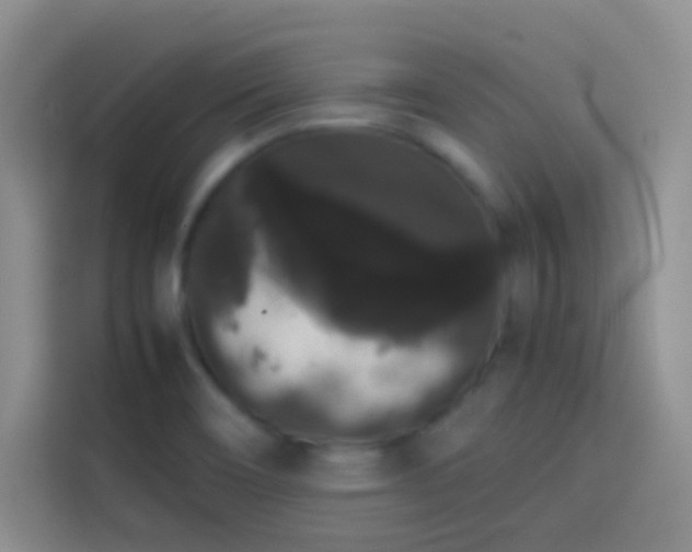 X0000113851466200910010951