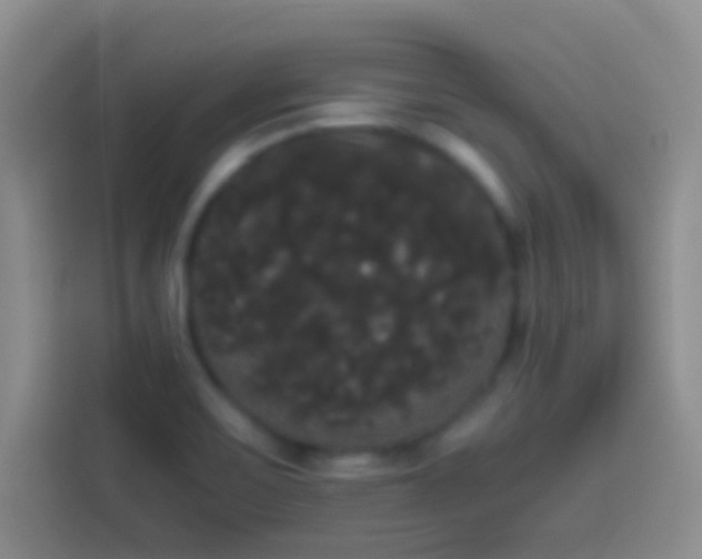 X0000113851467200910010951