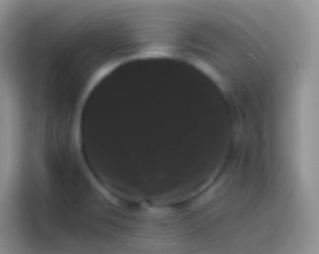 X0000113851469200910010951