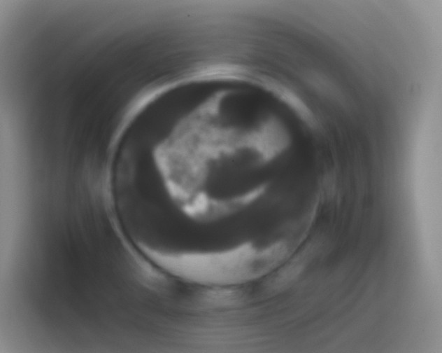 X0000113851470200910010951