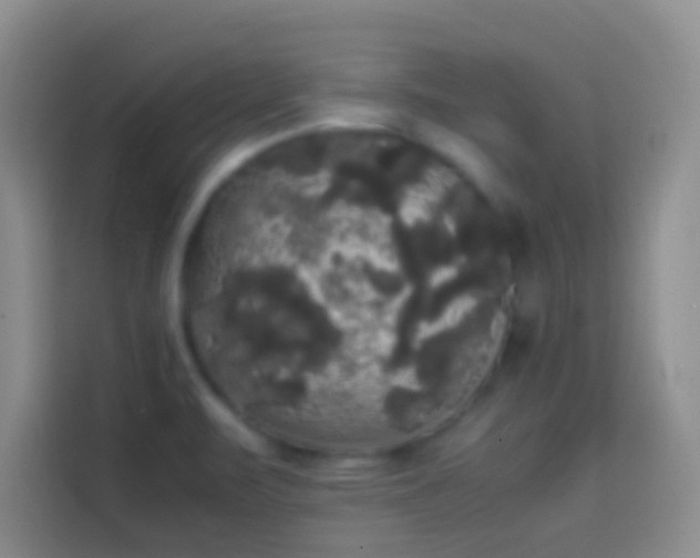 X0000113851471200910010951