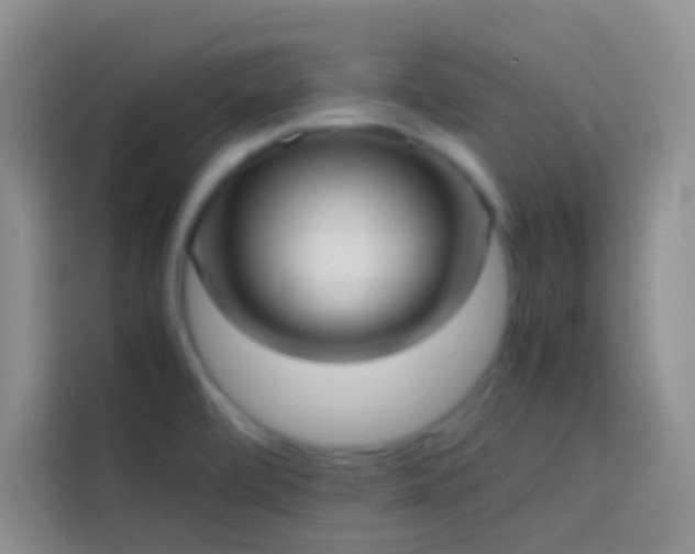 X0000113851472200910010951