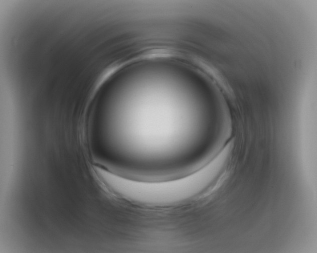 X0000113851473200910010951