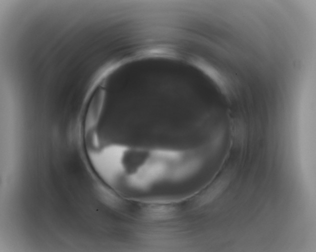 X0000113851474200910010951