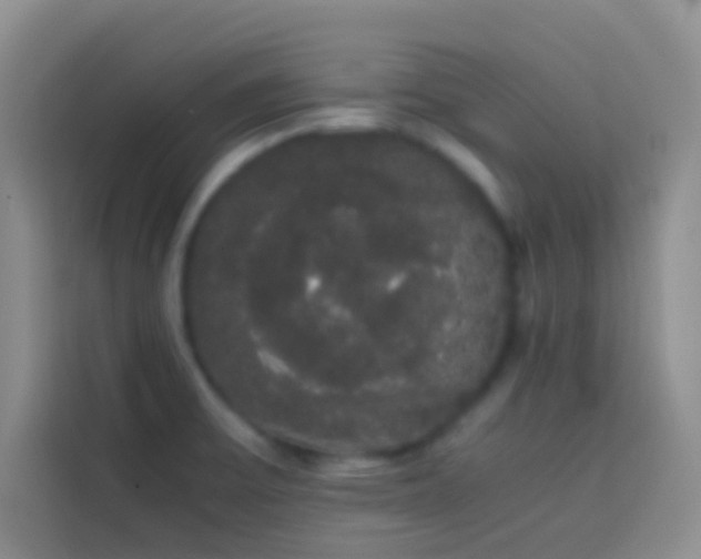 X0000113851475200910010951