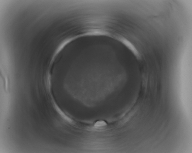 X0000113851476200910010951