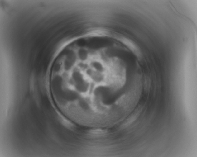 X0000113851478200910010951