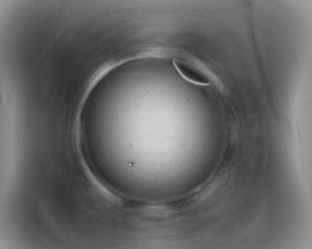 X0000113851479200910010951