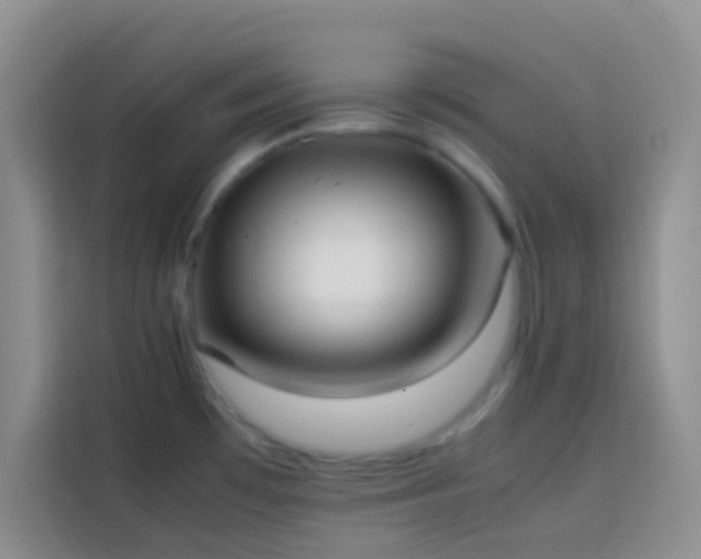 X0000113851481200910010951