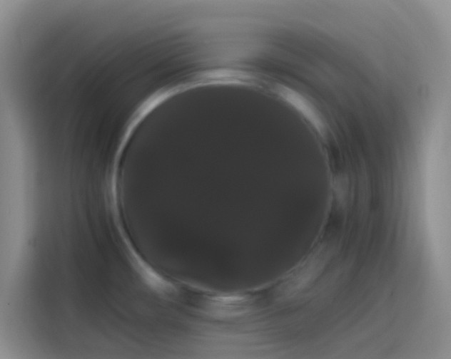 X0000113851482200910010951