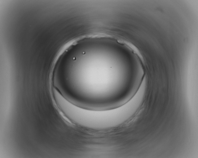 X0000113851485200910010951