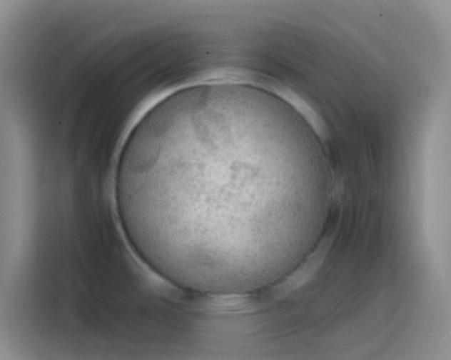 X0000113851486200910010951