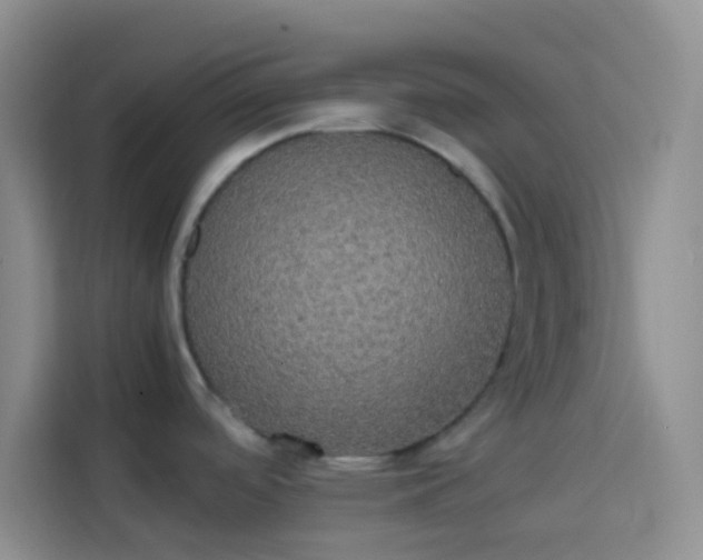 X0000113851488200910010951