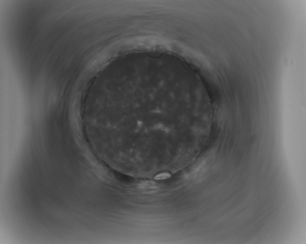 X0000113851489200910010950