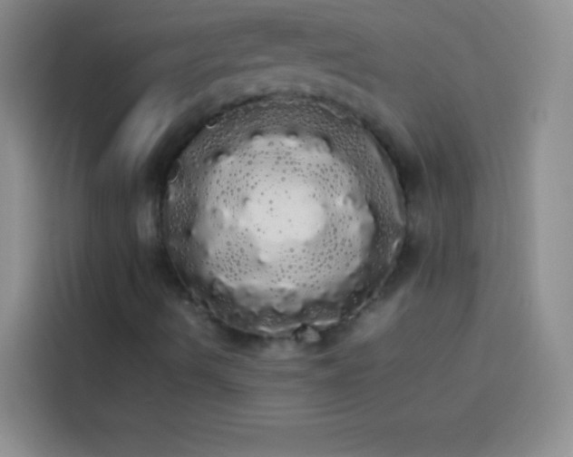 X0000113851490200910010950