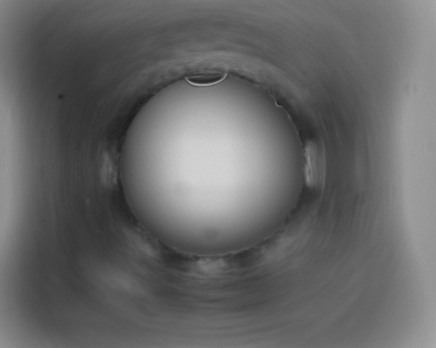 X0000113851491200910010950