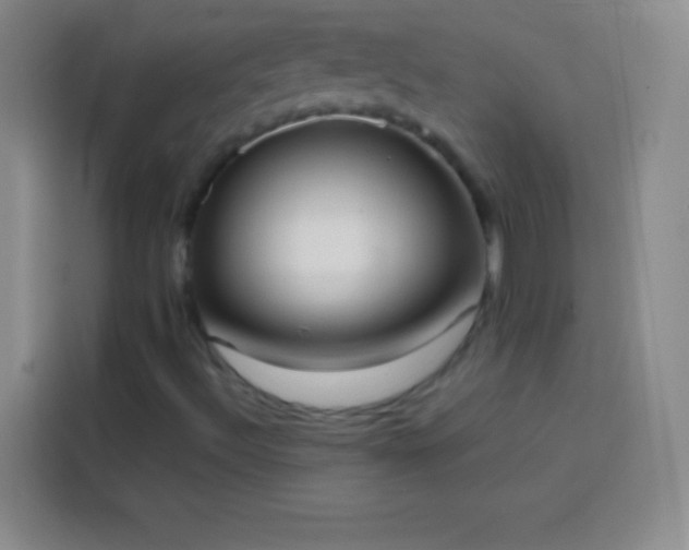 X0000113851492200910010950