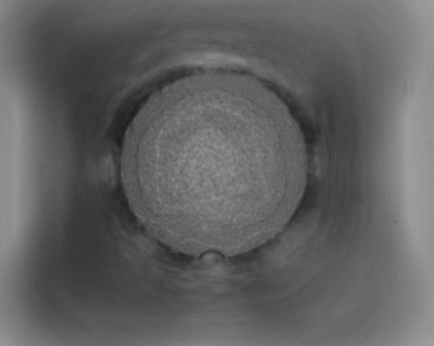 X0000113851493200910010950