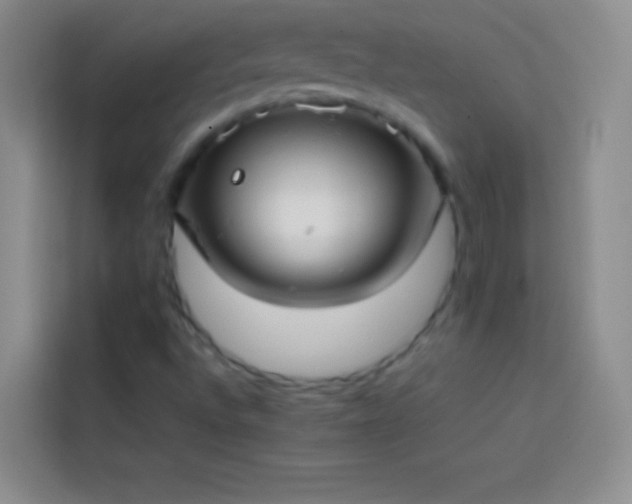 X0000113851496200910010950