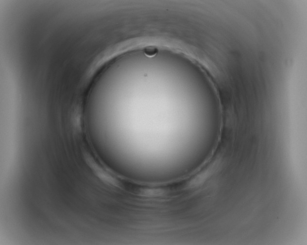 X0000113851499200910010950