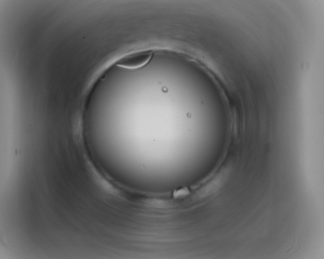 X0000113851500200910010950