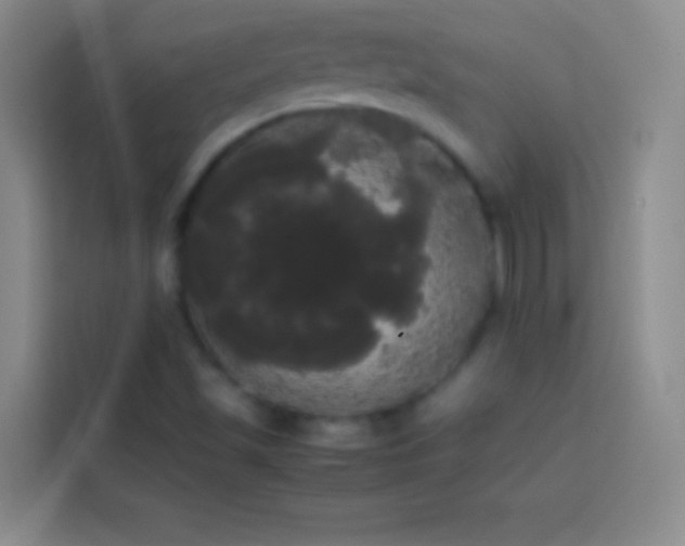 X0000113851501200910010950