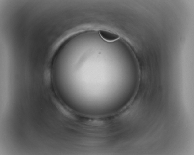 X0000113851503200910010950