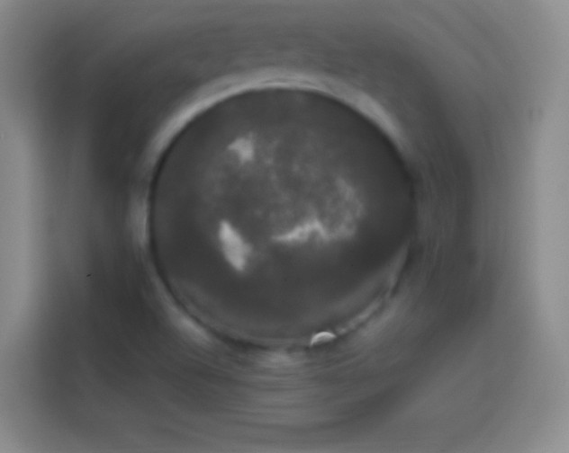 X0000113851504200910010950