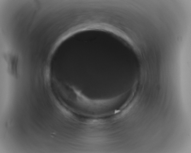 X0000113851506200910010950