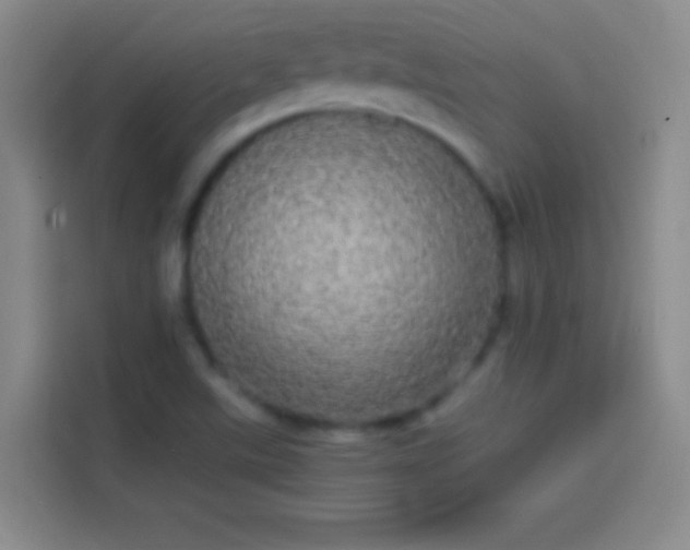 X0000113851507200910010950