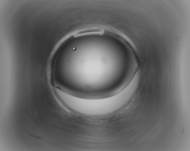 X0000113851508200910010950