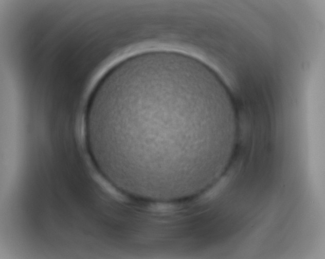 X0000113851511200910010950