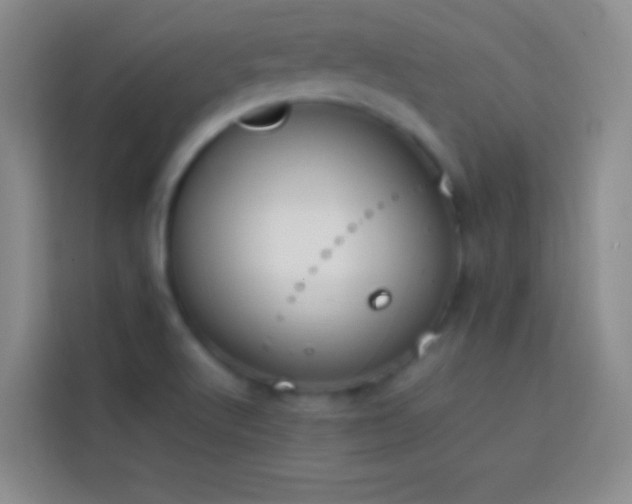 X0000113851512200910010950