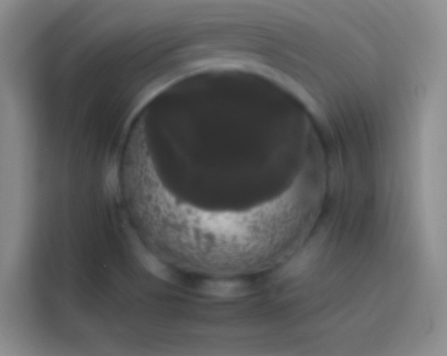 X0000113851513200910010950