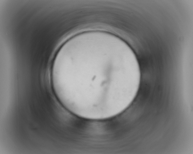 X0000113851514200910010950