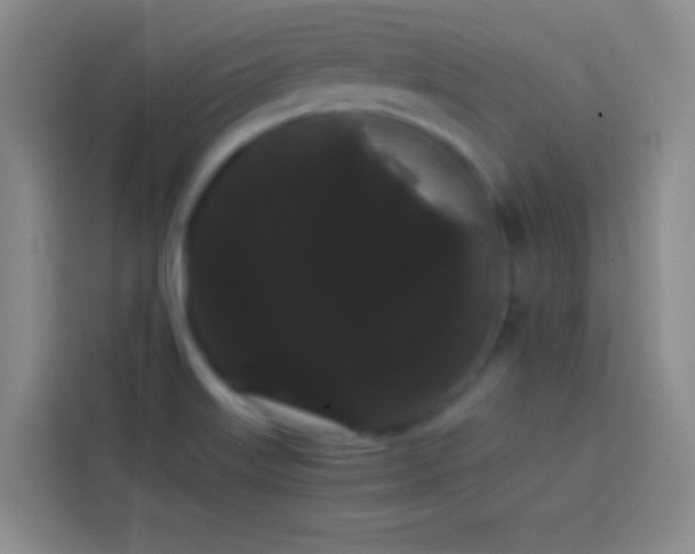 X0000113851515200910010950